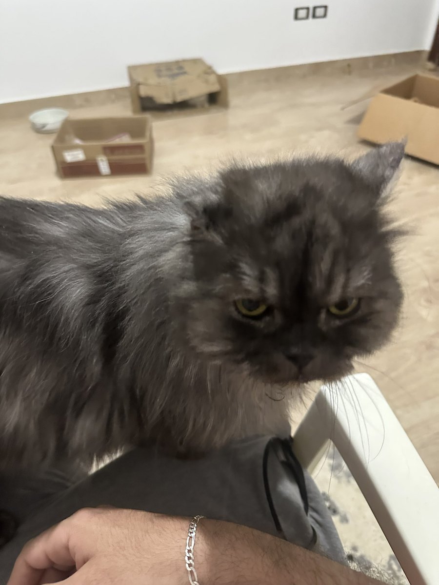 𝓚𝓪𝓻𝓲𝓶 tweet media