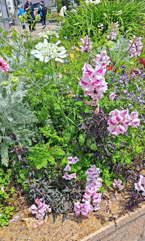 2ndtatsumi's tweet image. おはようさん😌

#SundayFunday #週日快樂