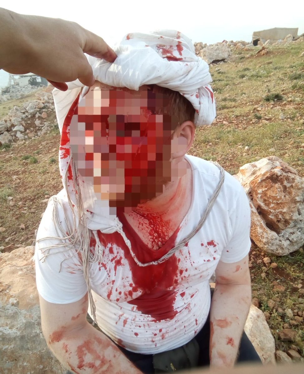 נועה מגיד | Noa magid tweet media