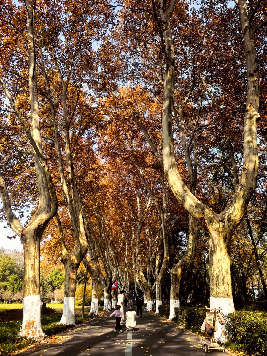 Sagar Kumar tweet media