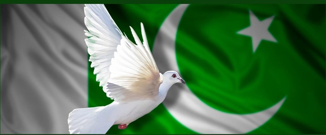 Shahidullah Shahid tweet media