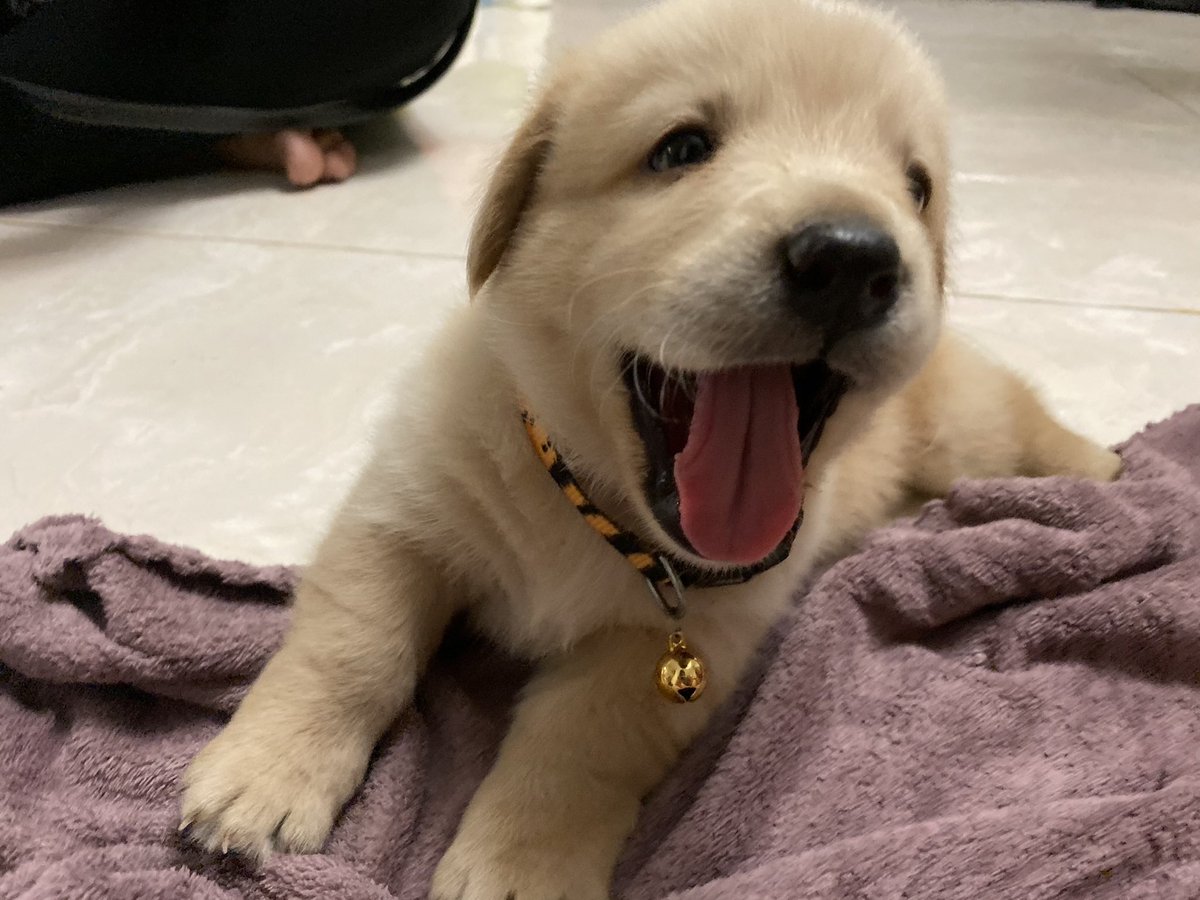 𝙥𝙞𝙫. tweet media