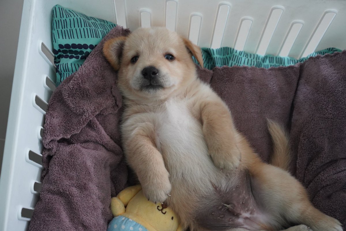 𝙥𝙞𝙫. tweet media