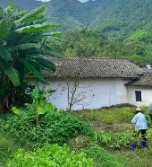 will wright tweet media