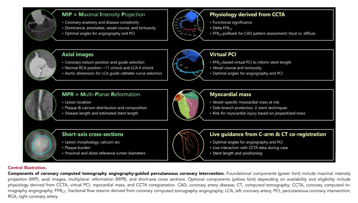 Zill_cardio's tweet image. Coronary Computed Tomography Angiography to Guide Percutaneous Coronary Intervention: Expert Opinion from a SCAI/SCCT Roundtable | @MyJSCAI 

#whyCT #VirtualPCI @SCAI
#mustread
 jscai.org/article/S2772-…