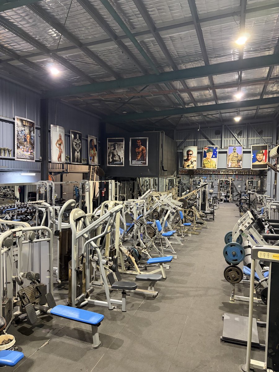 Mike Lifts tweet media