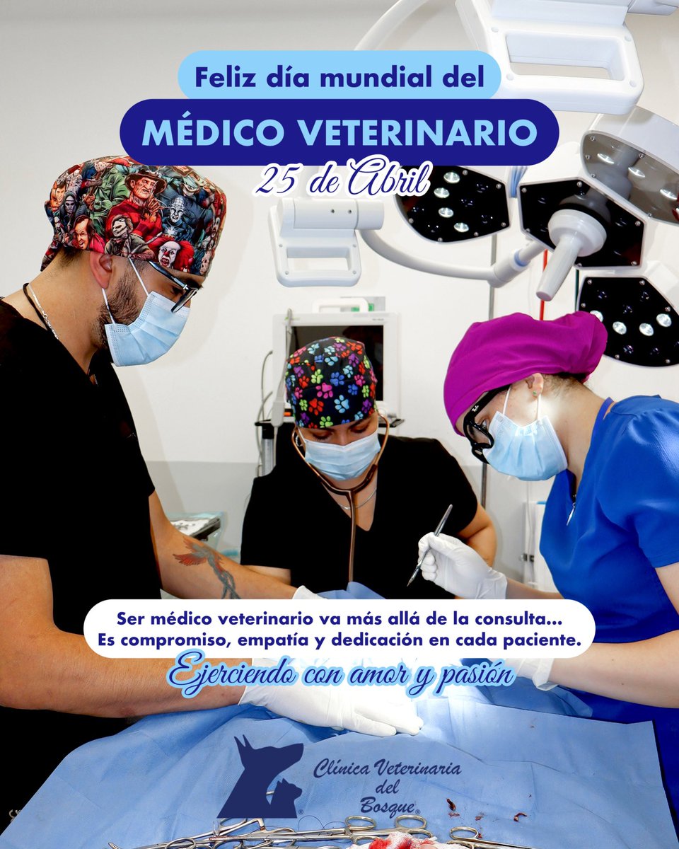 VeterinariadelBosque tweet media