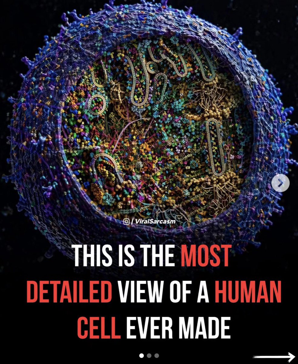 Dr.Rahul Poptani tweet media