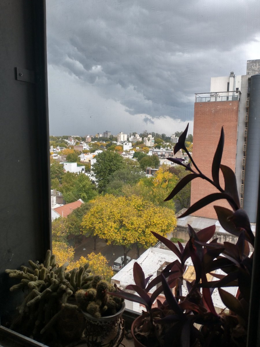 Rut Jappert tweet media