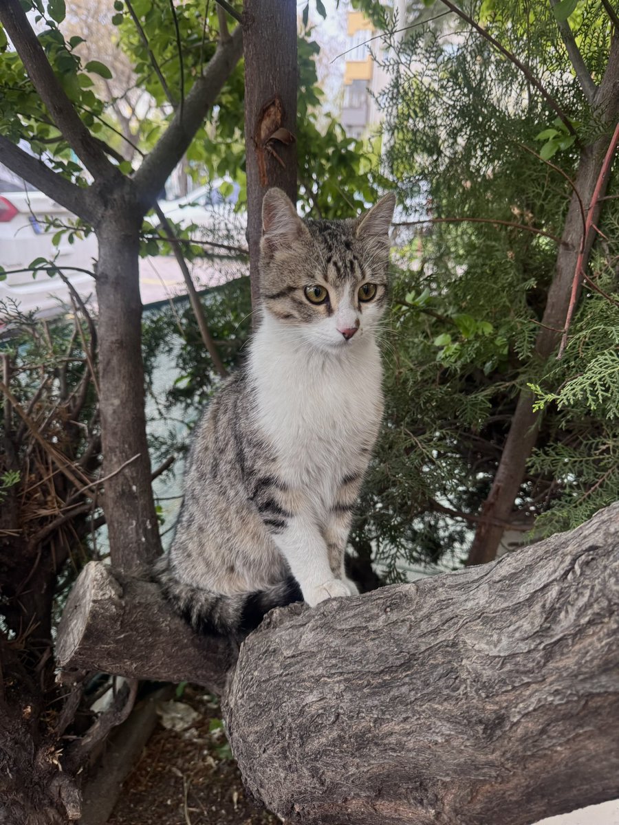 ilko 🧚🏻‍♀️ tweet media