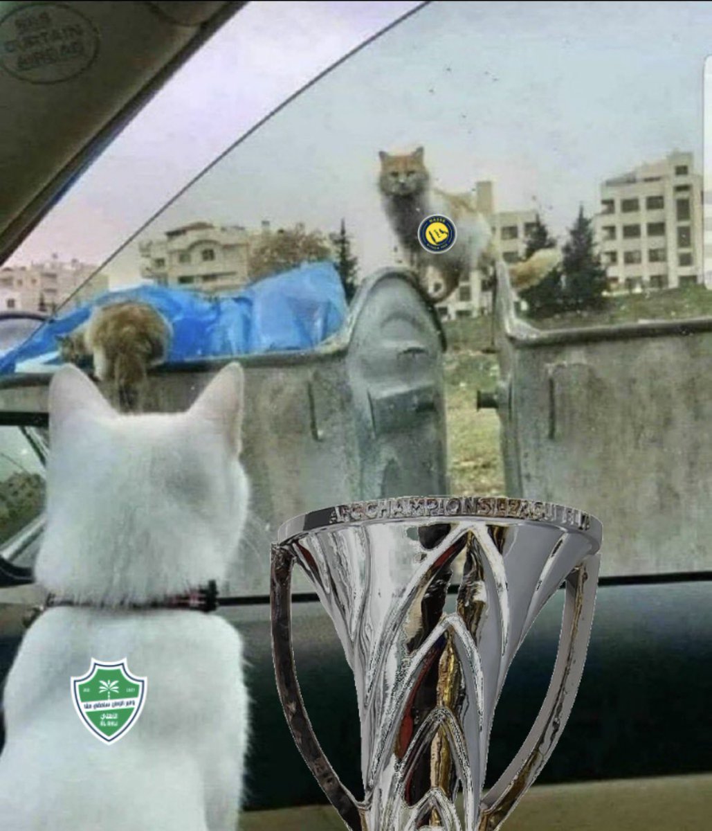 تركي الثابت tweet media