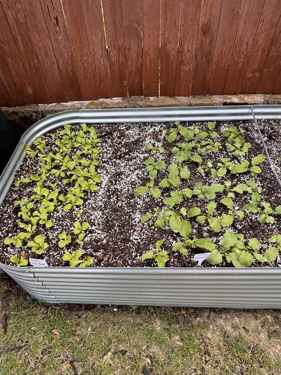 Trinity Builders DFW tweet media