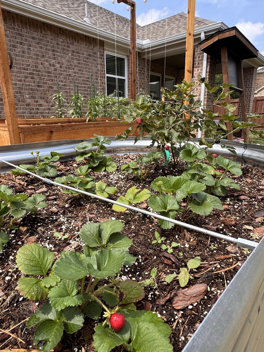 Trinity Builders DFW tweet media