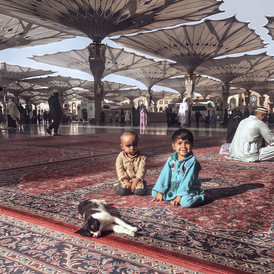 julaibib18's tweet photo. Masjid an-Nabawi https://t.co/jvF16rT7TV