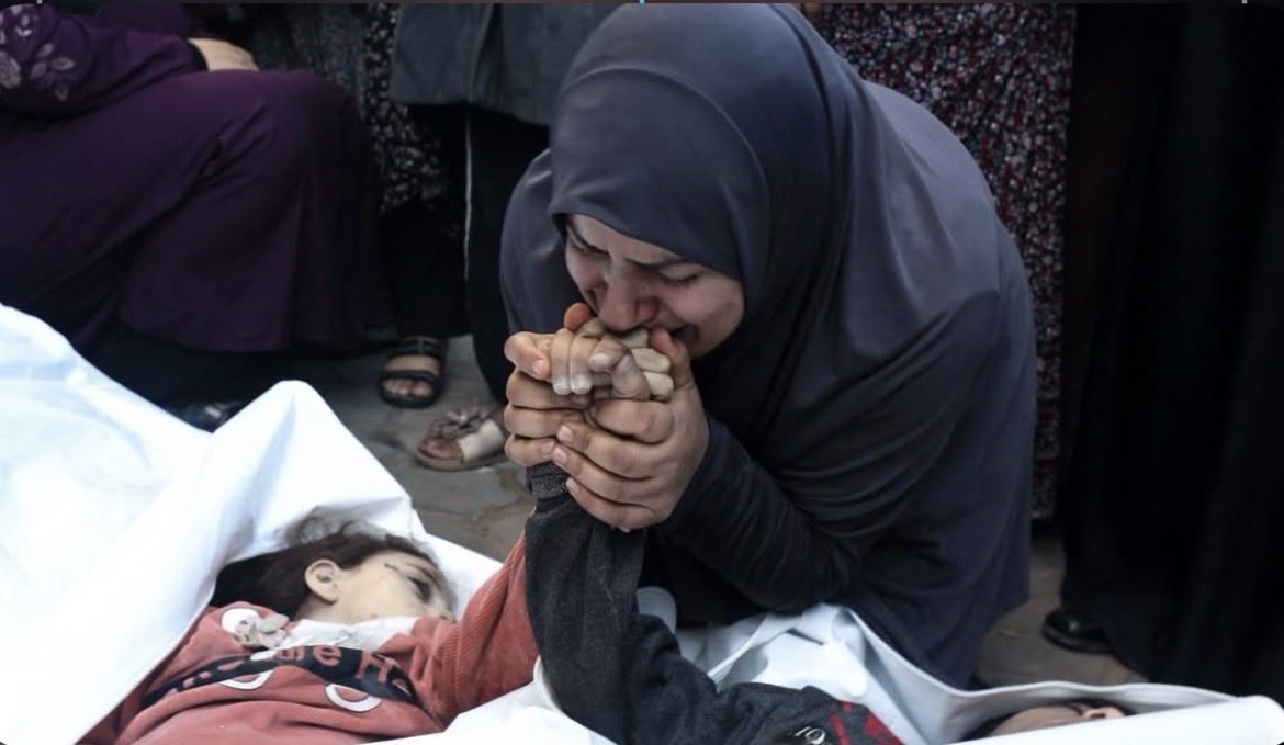 🎒 Abu Ali tweet media