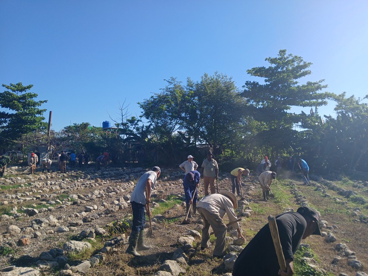 #Jatibonico Participamos en jornada de trabajo voluntario en saludos al 1 de mayo, impulsando el programa de las plantas medicinales. 
#LaPatriaSeDefiende
#SanctiSpíritusEnMarcha