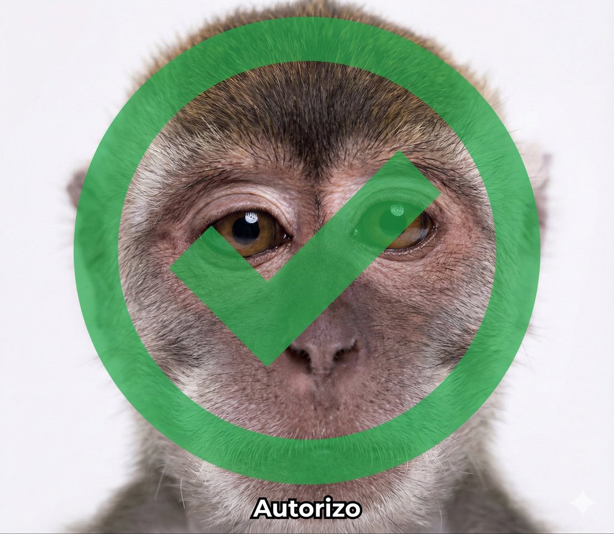 Cuando en recepción me preguntan que si quiero pagar en efectivo para ampliar la garantía de su batería a 7 meses.