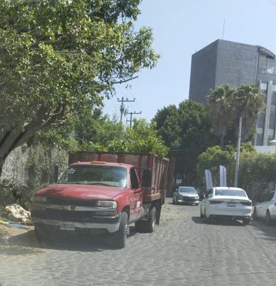 LaPulgaDijo's tweet photo. 🌳🪓 En #Cuernavaca no solo desaparecen personas… ahora también los árboles.

Vecinos de Río Pánuco, casi esquina con Río Mayo, denuncian el derribo de ejemplares: ya sería el tercero.

Menos sombra.
Menos ciudad.

Y como siempre… nadie explica nada.

¿La Ciudad que Merecemos @danmtzterrazas?