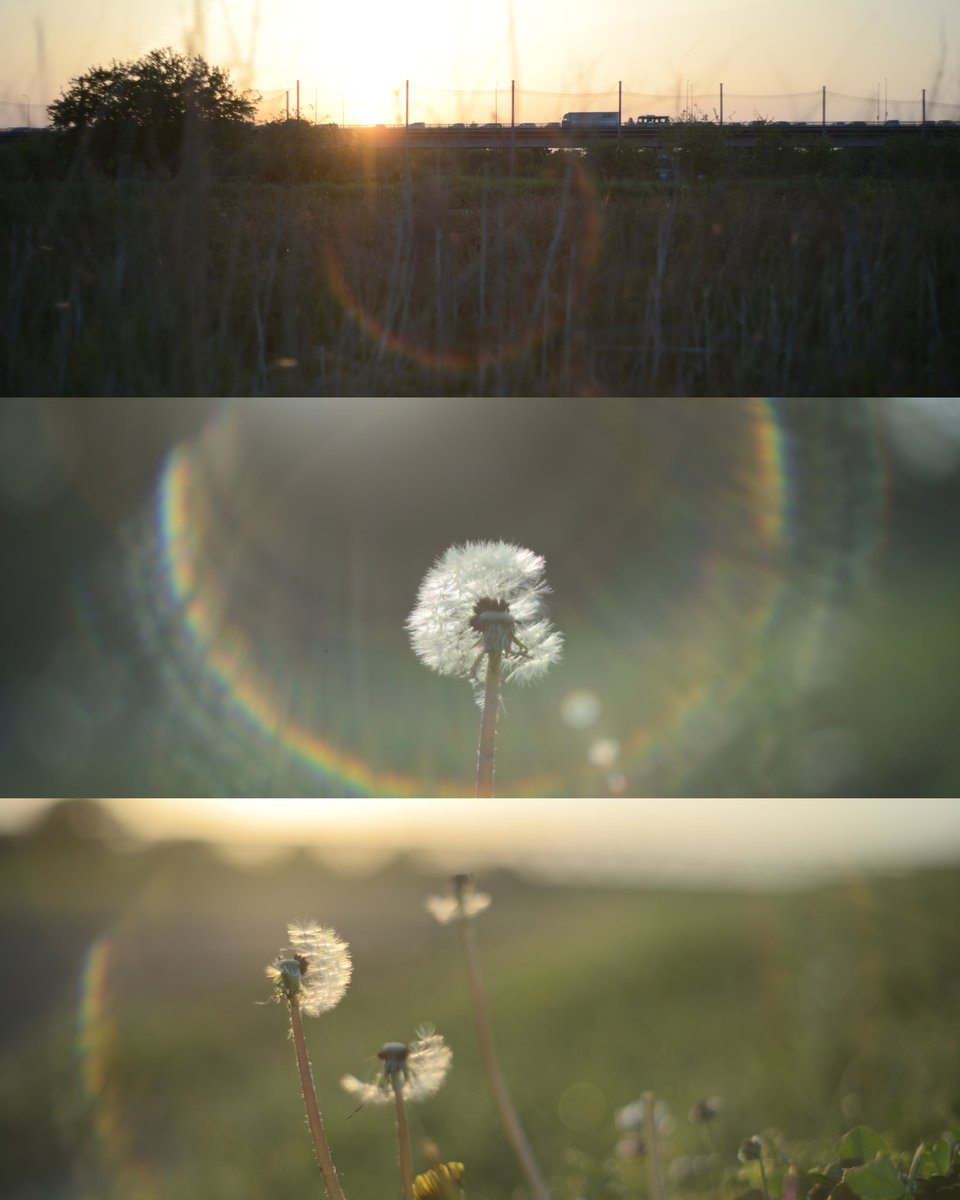 名もなき写真垢 tweet media