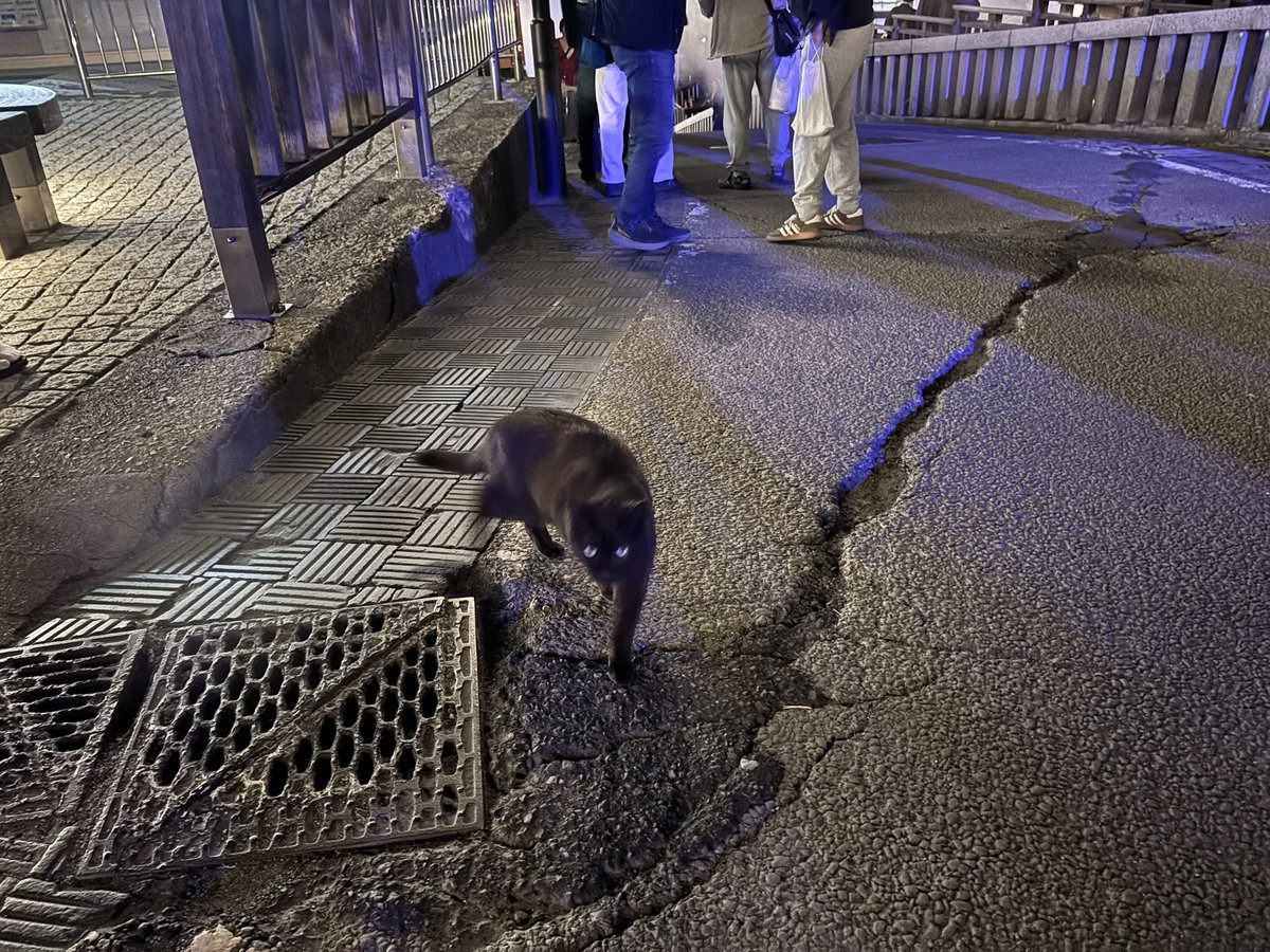 yuzuringo555's tweet photo. 今年も草津の湯畑付近で黒猫ちゃんに会えました🐈‍⬛ https://t.co/6DRE4i4fzE