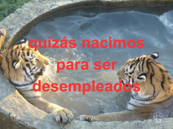 M O T I V A N D O T E (@m0tivand0te) on Twitter photo 