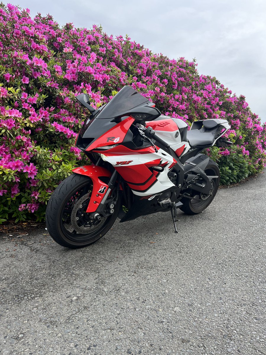 タケちゃん tweet media