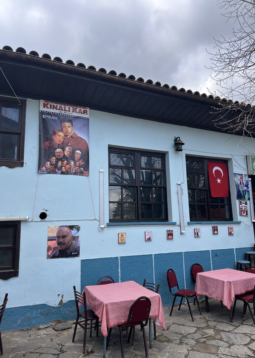 feyza' tweet media