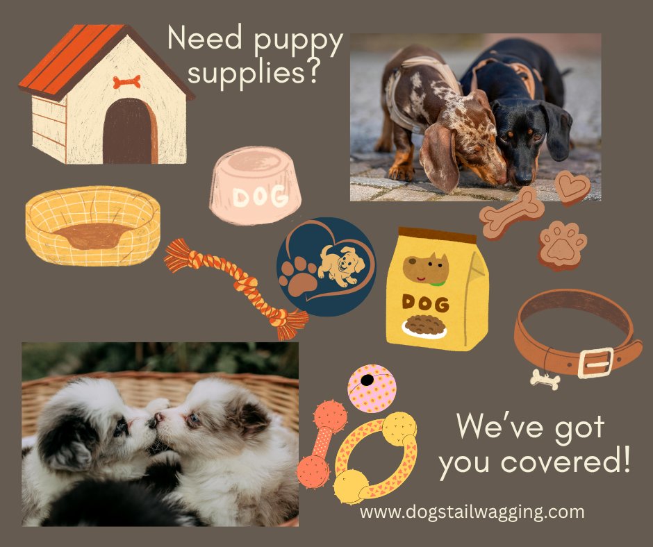 Dogstailwagging's tweet image. If you are looking for high-quality dog treats and toys, visit us at dogstailwagging.com

#dogs #puppies #newbusiness