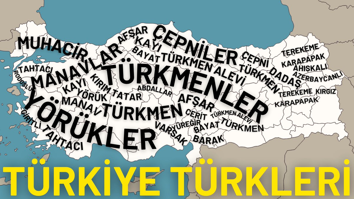 Ali Kaan tweet media