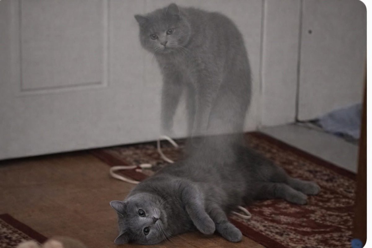 Psicólogo: Aléjate de quién te hace daño.

Yo: