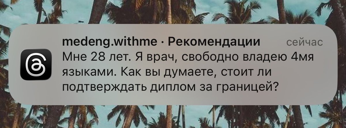 VN tweet media