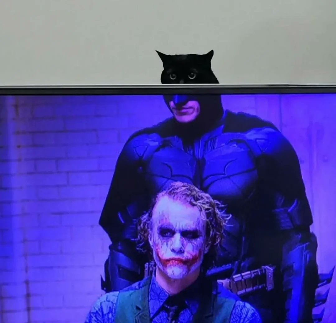 Batman Archives tweet media