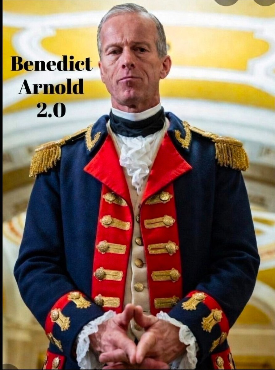 <a href="/nicksortor/">Nick Sortor</a> I personally think <a href="/LeaderJohnThune/">Leader John Thune</a> is purposely sabotaging midterms to screw pres <a href="/realDonaldTrump/">Donald J. Trump</a>. And even if it cost both houses and our country. He doesn't care! He is a fkn Benedict Arnold pos😡