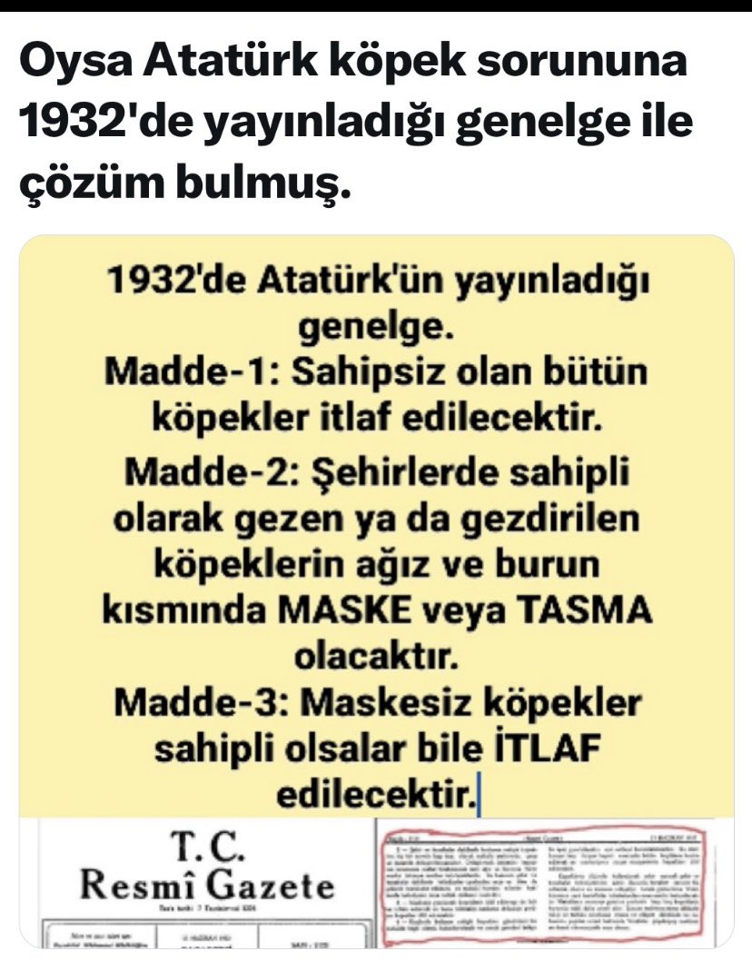 istanblues tweet media