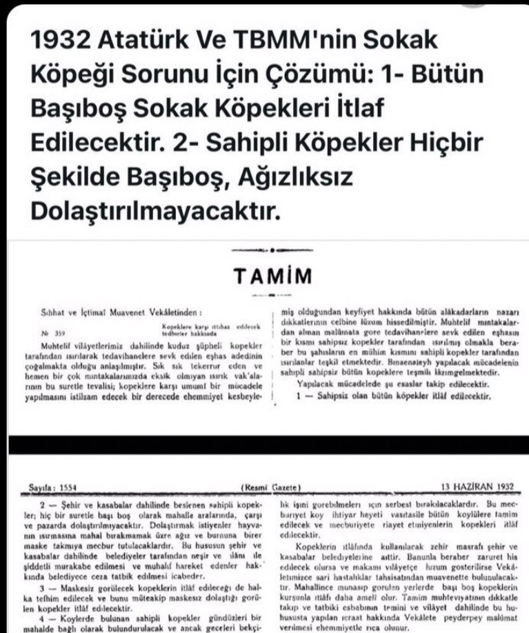 istanblues tweet media