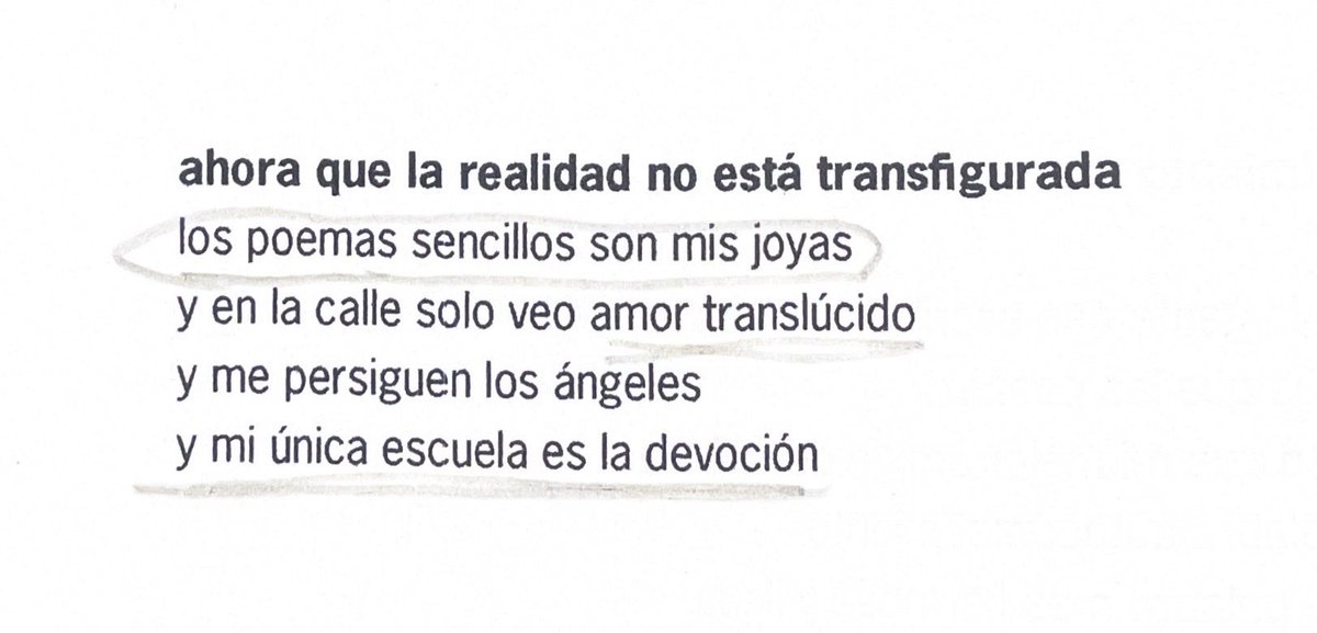 camila mermet tweet media
