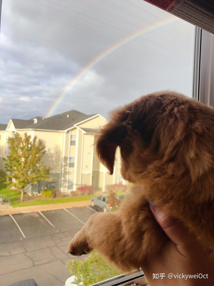 Livia Barcelos tweet media