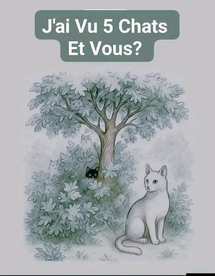 🇫🇷 LouiseFrance75 🇫🇷 🕎 tweet media