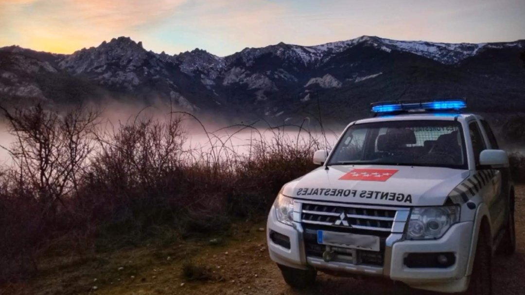 El cuerpo de #AgentesForestalesCM 👮‍♂️🚔🦅posee un especial valor; nadie conoce  campo como nosotros, cada camino, collado y cada vaguada a la perfección🌳.

Guardianes, protectores y policía de medio ambiente.  Sin nosotros, el medio natural no tendría quien lo defienda de verdad.