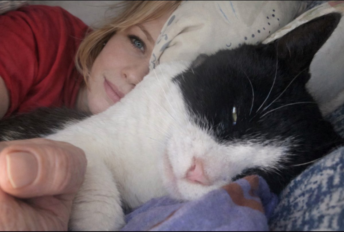 Beatrix Kido tweet media