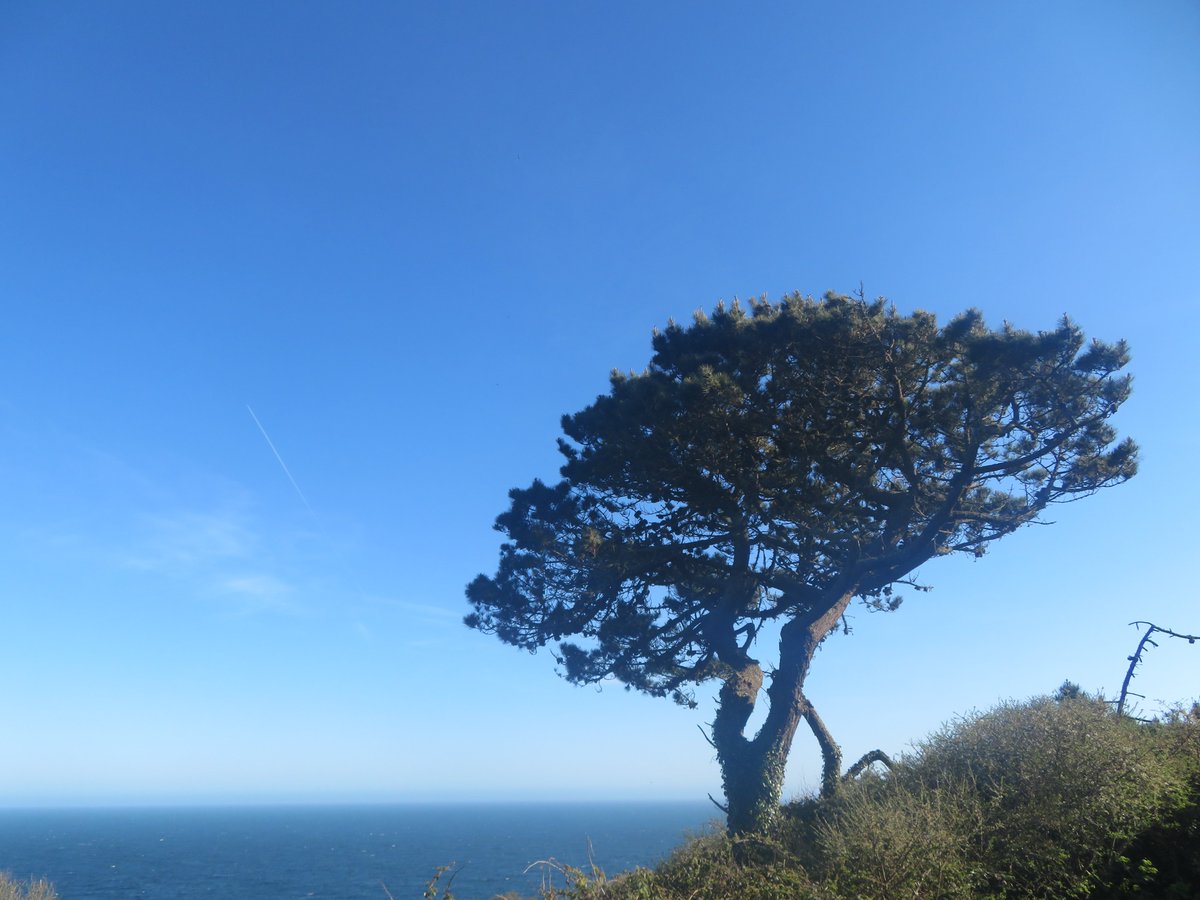 bakrim2000's tweet image. From my afternoon walk.
#walking 👣 #Cornwall