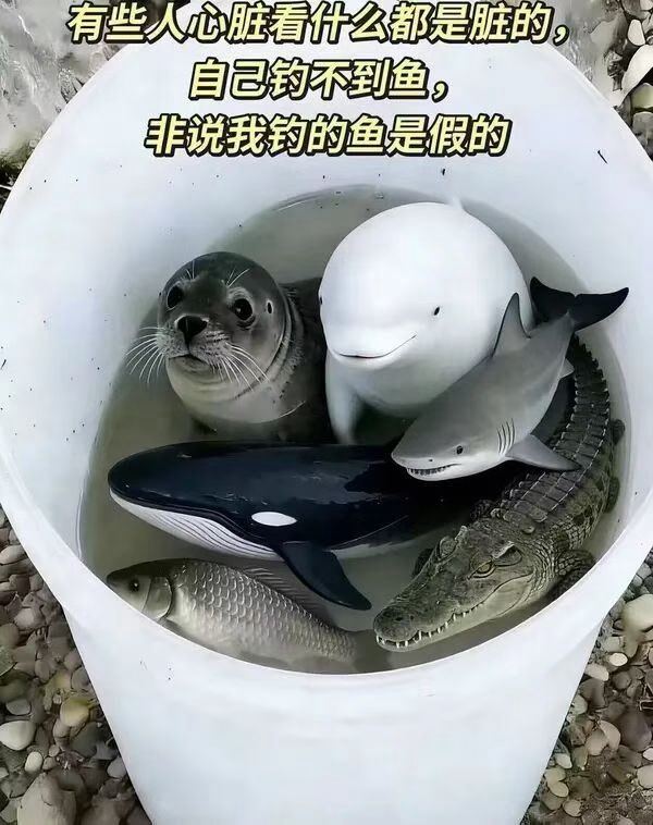 雲鳩 tweet media