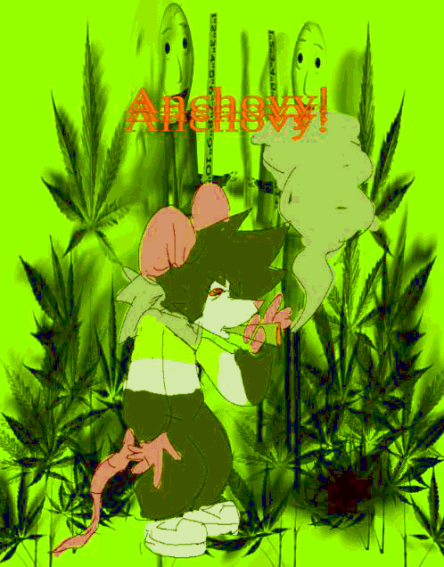 mexydoes stuffa ndyea89 official 🏳️‍⚧️ tweet media