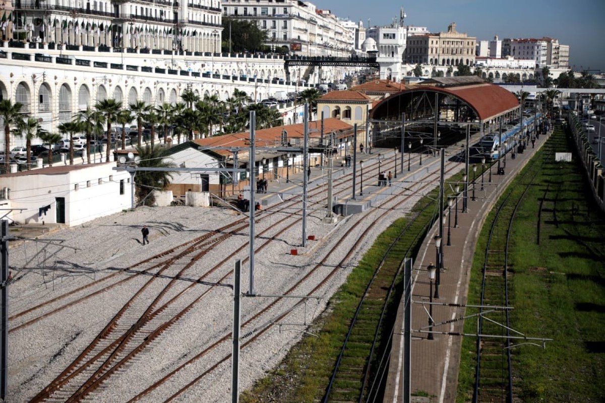 Algeria Project tweet media