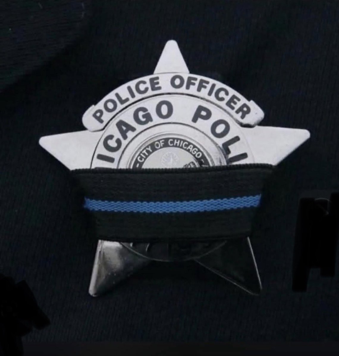 pamella 🇺🇸🇮🇹 tweet media