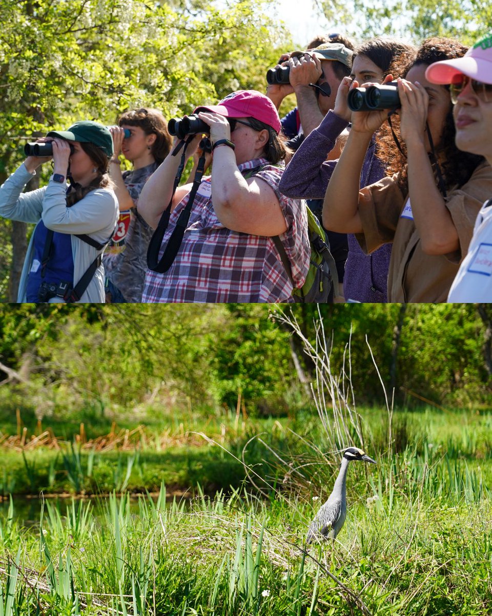 American Bird Conservancy tweet media