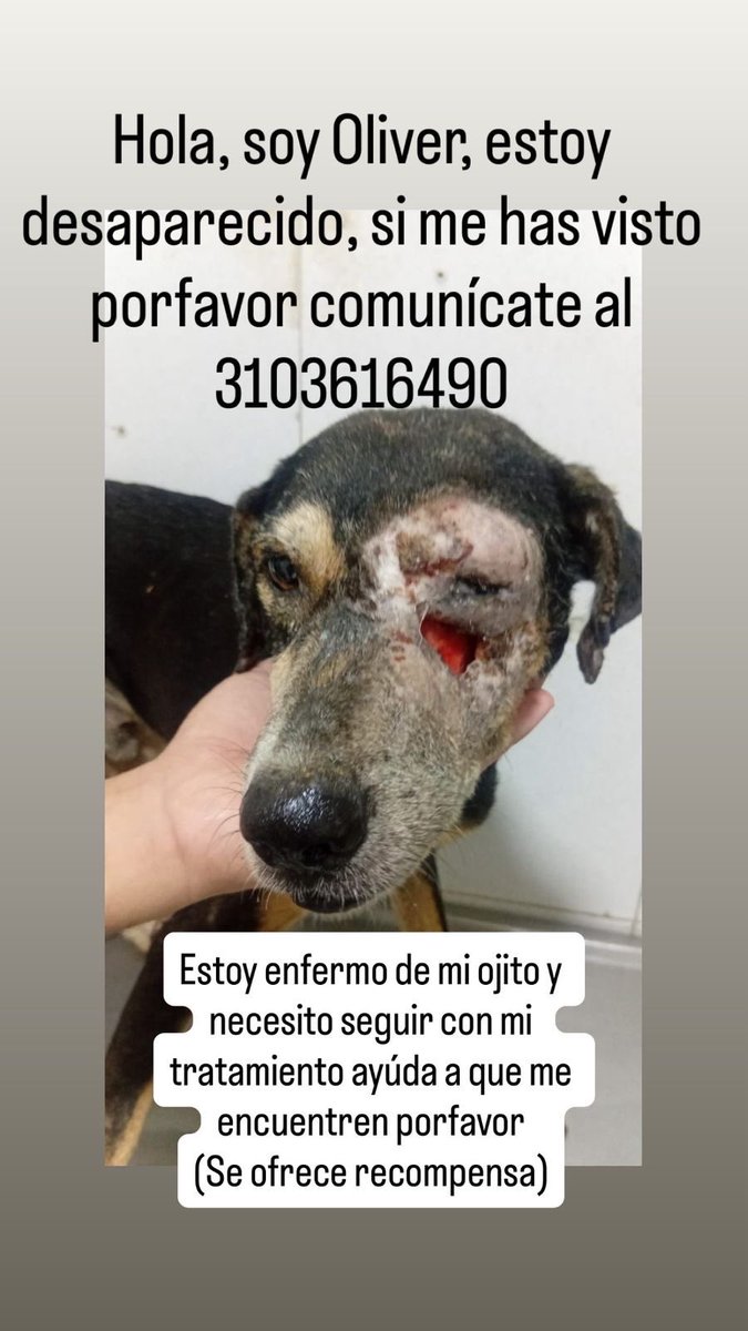 Karen Allen tweet media