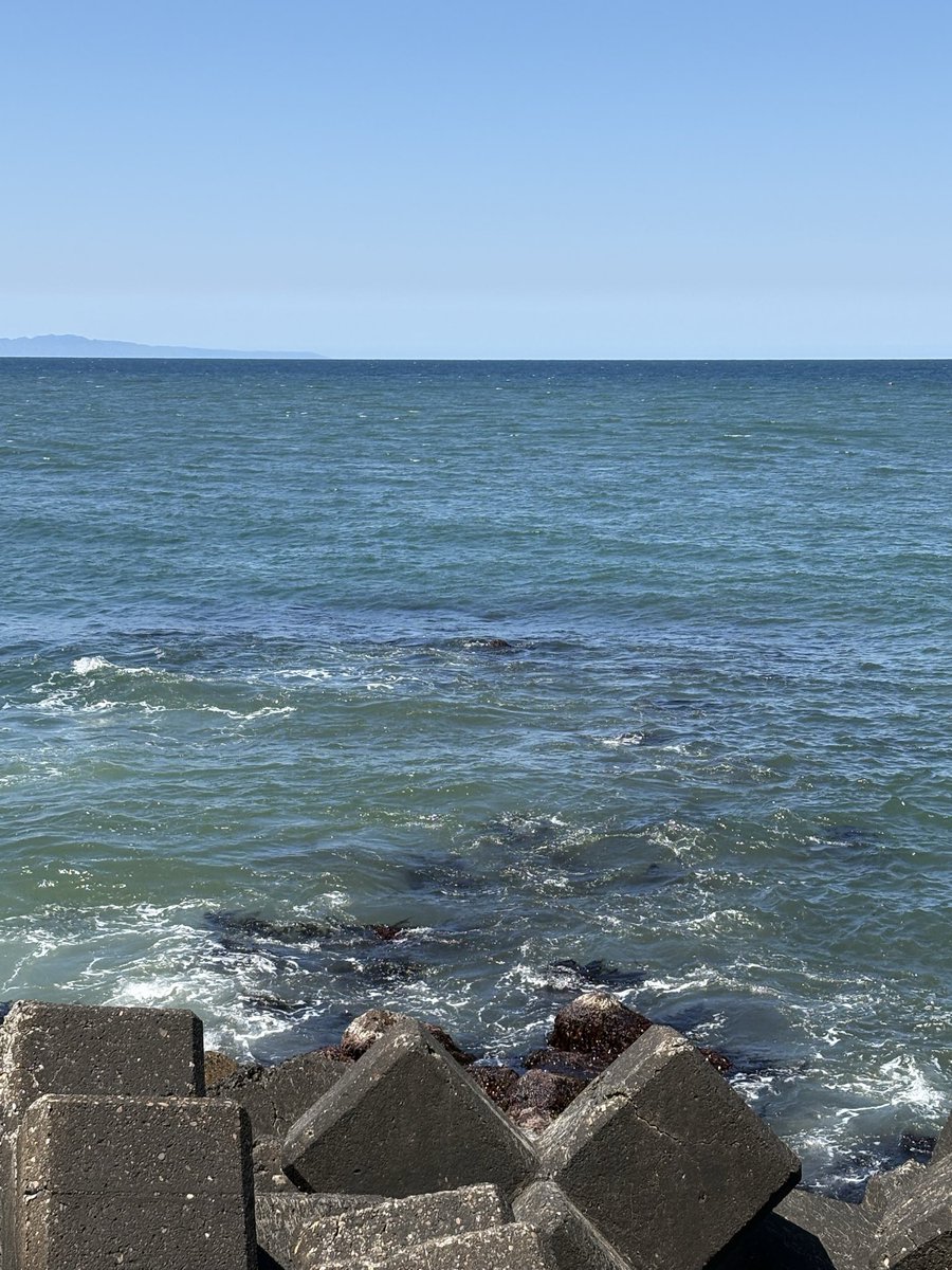 ささいムサシ tweet media