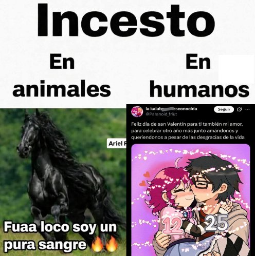 ̷L̷I̷N̷K̷ ̷T̷U̷ ̷M̷A̷S̷A̷C̷R̷A̷D̷O̷R̷ ̷2̷ tweet media