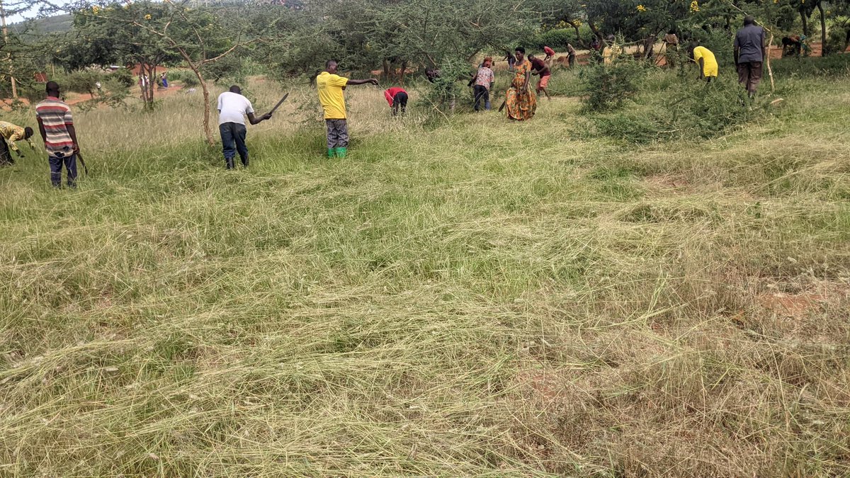 NdegoSectorK's tweet photo. Umuganda kandi wibanze kubikorwa byo gukora isuku ahantu hanyuranye,gutunganya imihanda ,kubaka amarerero no kubakira abatishoboye. @KayonzaDistrict @RwandaEast @FredSafariH https://t.co/DdtGJPEHro
